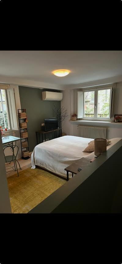 Loft Crimea Con Patio Apartment Turin